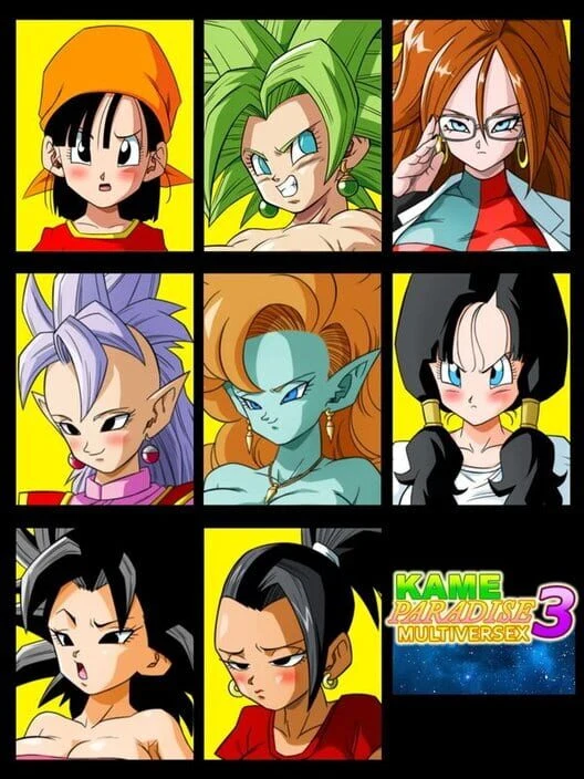 Kame Paradise 3 Multiversex box art