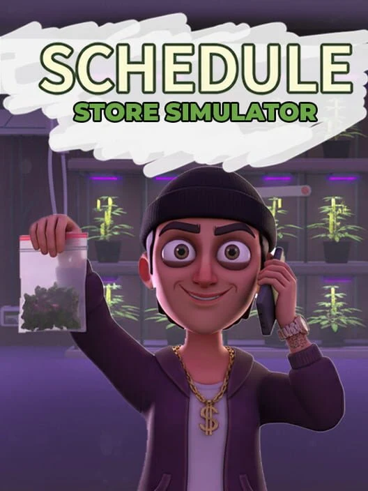 Schedule Store Simulator box art