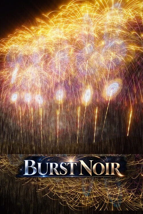 Burst Noir: Fireworks Simulator box art